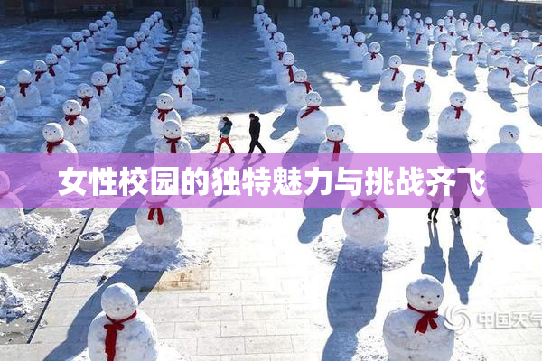 女性校园的独特魅力与挑战齐飞
