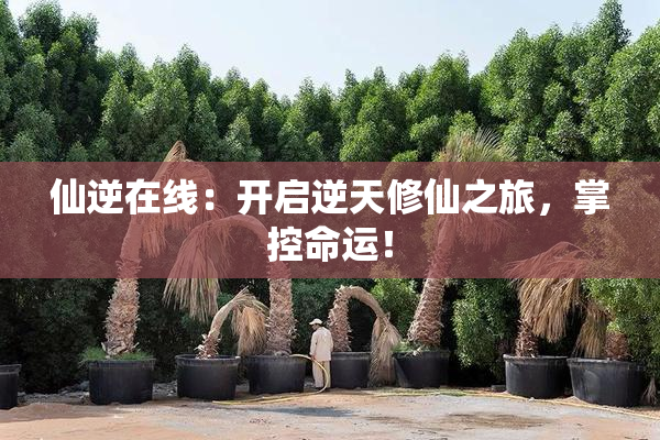 仙逆在线：开启逆天修仙之旅，掌控命运！