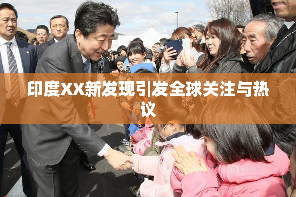 印度XX新发现引发全球关注与热议