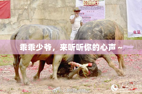 乖乖少爷，来听听你的心声～