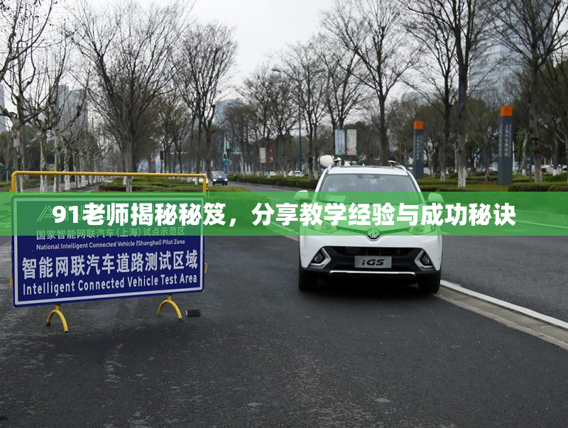 91老师揭秘秘笈，分享教学经验与成功秘诀