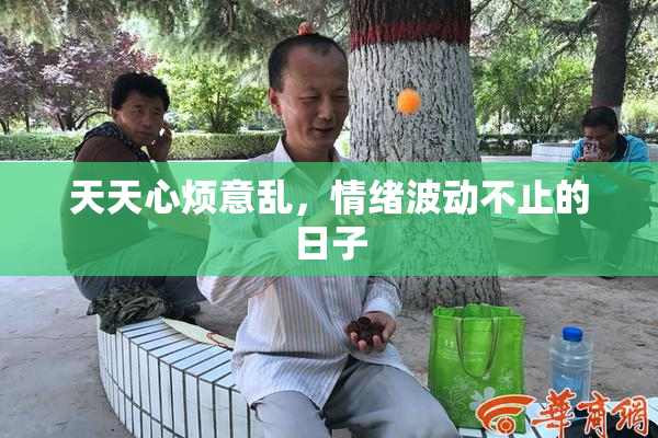 天天心烦意乱，情绪波动不止的日子