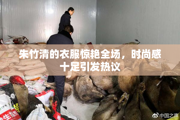 朱竹清的衣服惊艳全场，时尚感十足引发热议