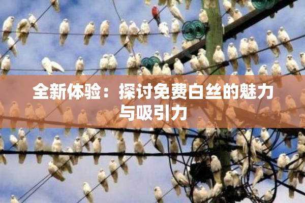 全新体验：探讨免费白丝的魅力与吸引力