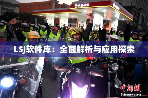 LSJ软件库：全面解析与应用探索