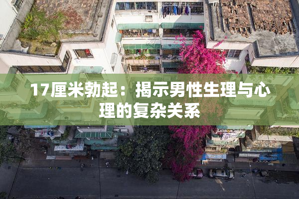 17厘米勃起：揭示男性生理与心理的复杂关系