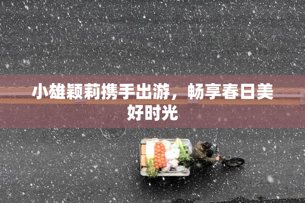 小雄颖莉携手出游，畅享春日美好时光