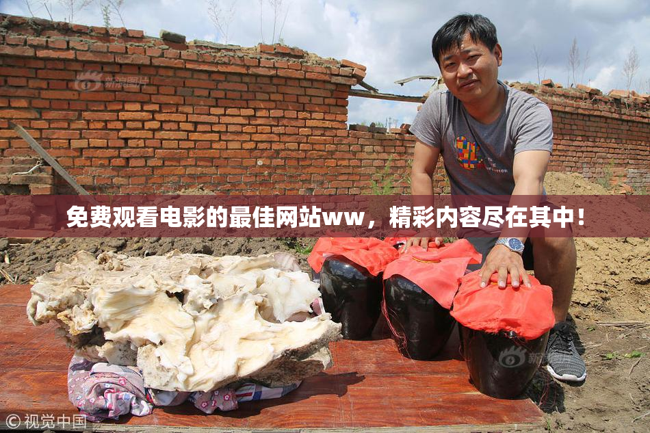 免费观看电影的最佳网站ww，精彩内容尽在其中！