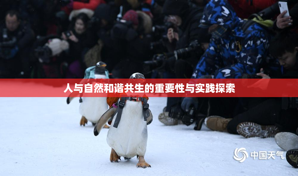人与自然和谐共生的重要性与实践探索