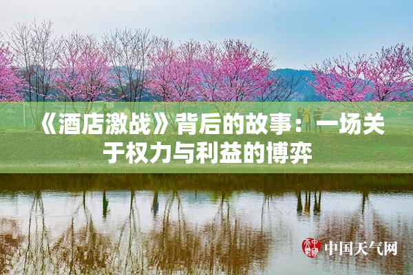 《酒店激战》背后的故事：一场关于权力与利益的博弈