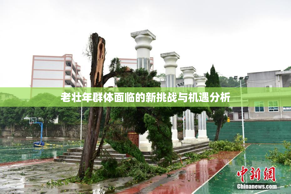 老壮年群体面临的新挑战与机遇分析