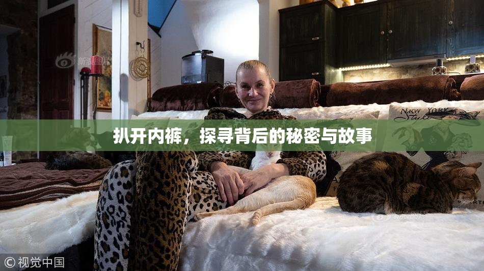 扒开内裤，探寻背后的秘密与故事