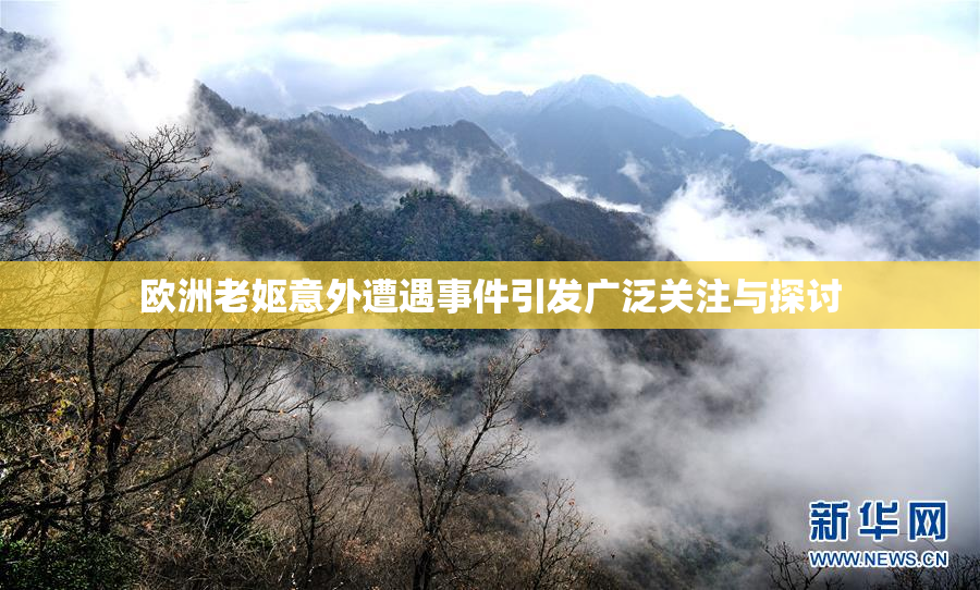 欧洲老妪意外遭遇事件引发广泛关注与探讨