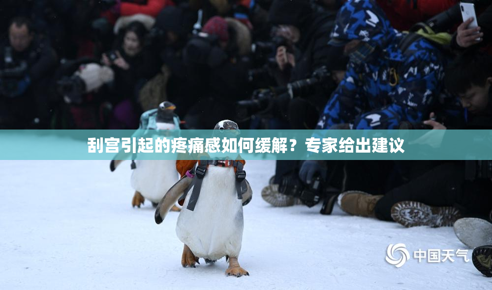 刮宫引起的疼痛感如何缓解？专家给出建议