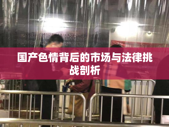 国产色情背后的市场与法律挑战剖析