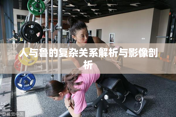 人与鲁的复杂关系解析与影像剖析