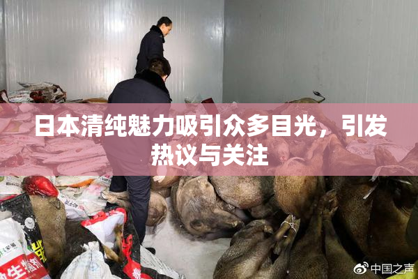 日本清纯魅力吸引众多目光，引发热议与关注