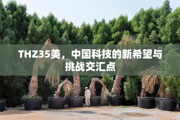 THZ35美，中国科技的新希望与挑战交汇点