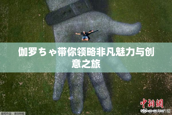 伽罗ちゃ带你领略非凡魅力与创意之旅