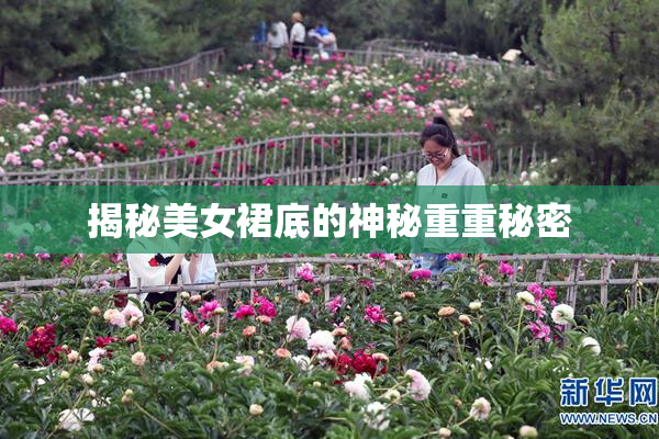 揭秘美女裙底的神秘重重秘密