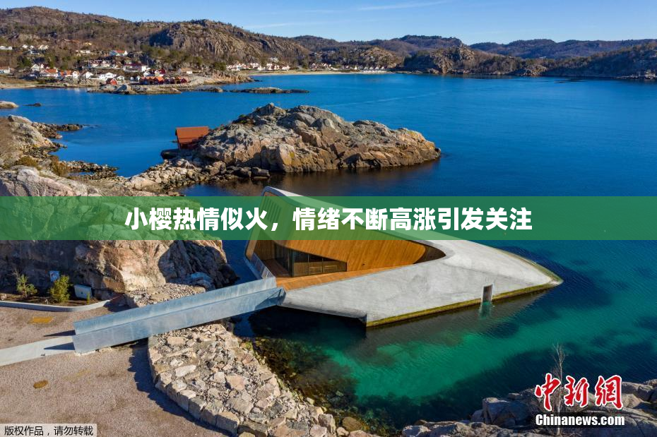 小樱热情似火，情绪不断高涨引发关注