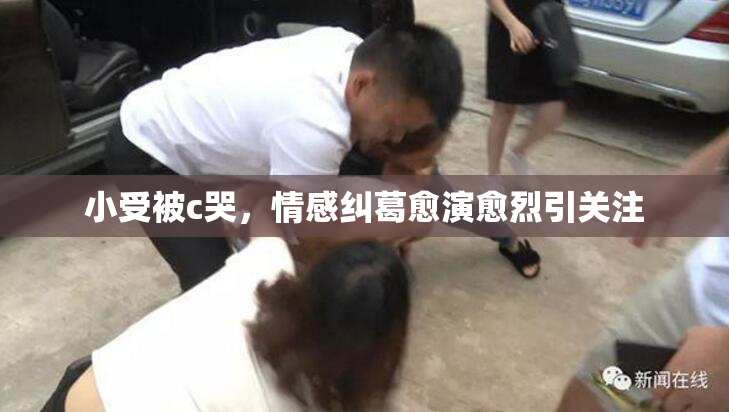 小受被c哭，情感纠葛愈演愈烈引关注