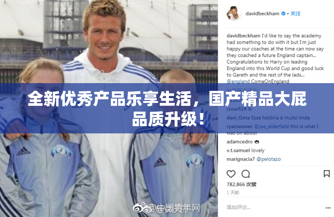 全新优秀产品乐享生活，国产精品大屁品质升级！