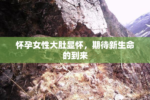 怀孕女性大肚显怀，期待新生命的到来
