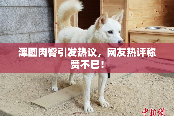 浑圆肉臀引发热议，网友热评称赞不已！
