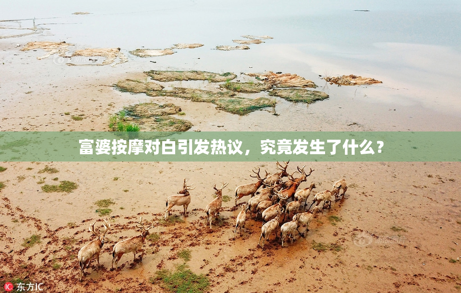 富婆按摩对白引发热议，究竟发生了什么？