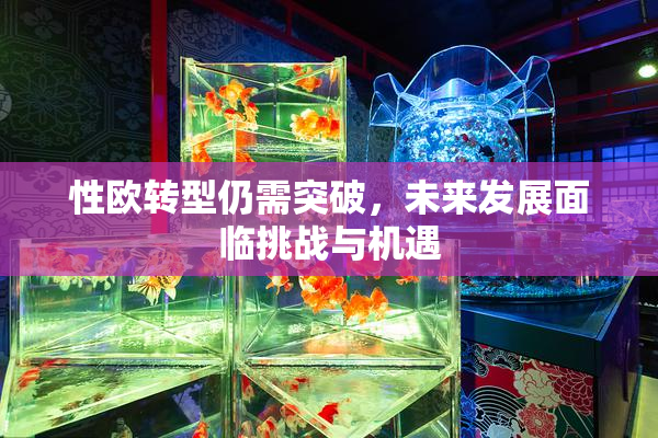 性欧转型仍需突破，未来发展面临挑战与机遇