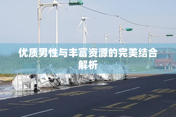 优质男性与丰富资源的完美结合解析