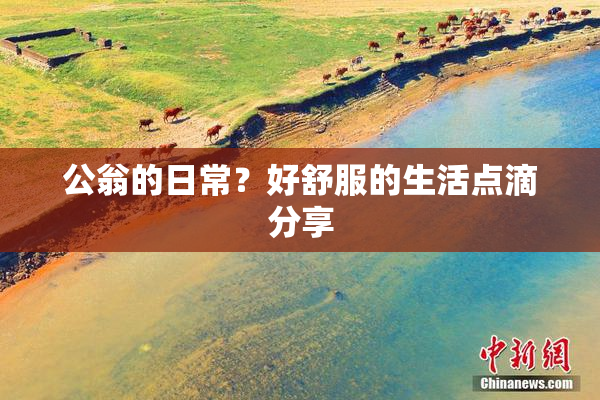 公翁的日常？好舒服的生活点滴分享