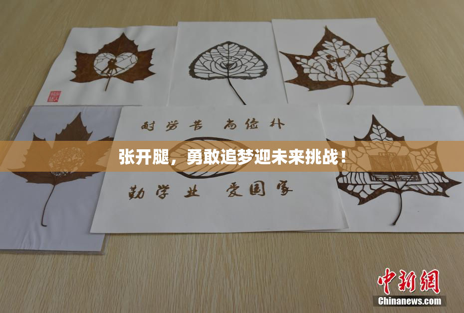 张开腿，勇敢追梦迎未来挑战！