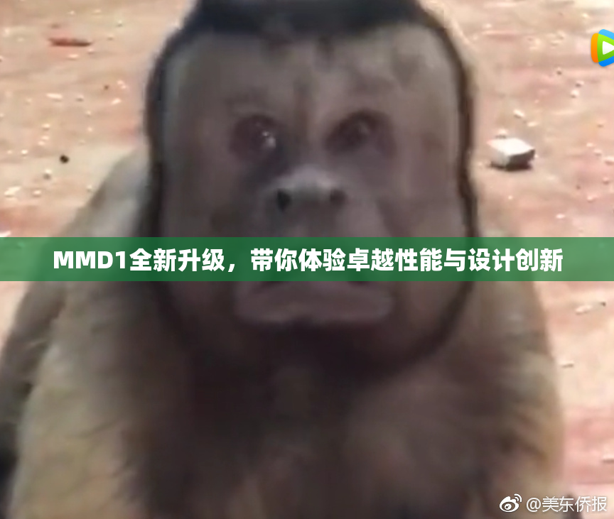 MMD1全新升级，带你体验卓越性能与设计创新