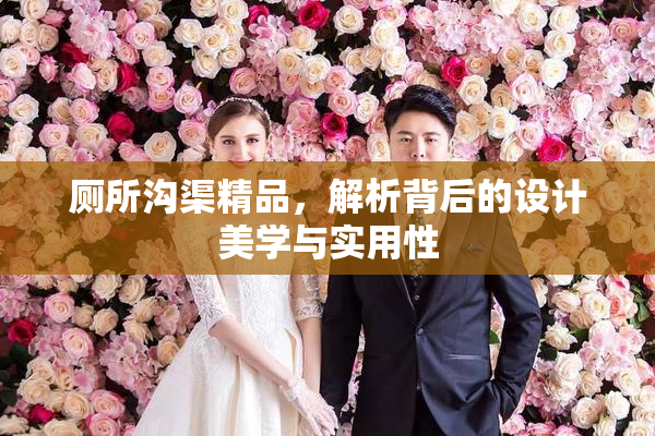 厕所沟渠精品，解析背后的设计美学与实用性