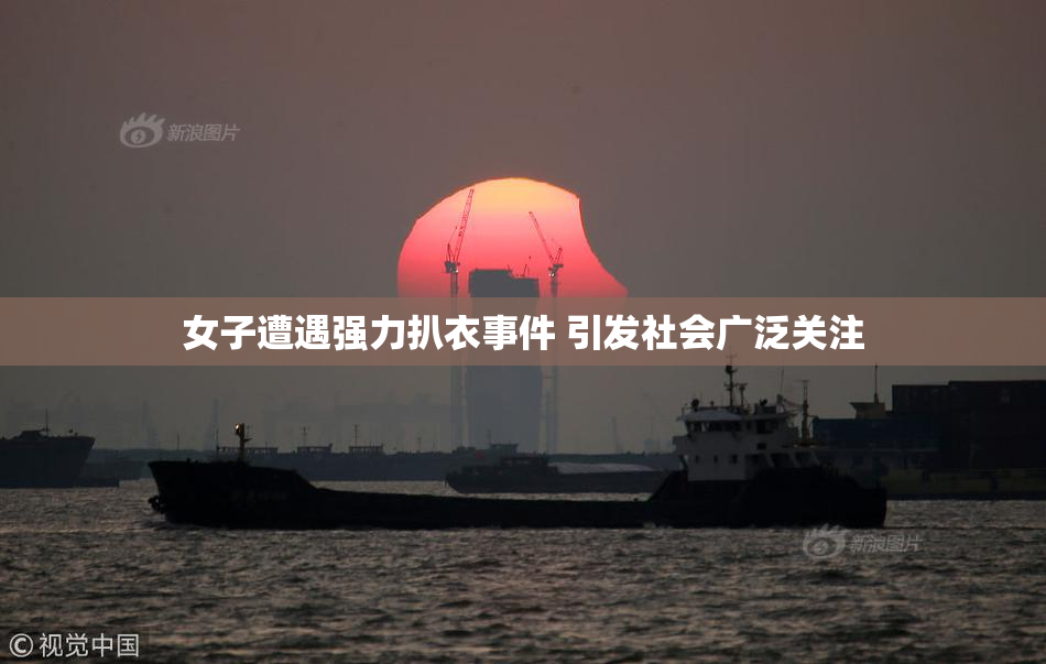 女子遭遇强力扒衣事件 引发社会广泛关注