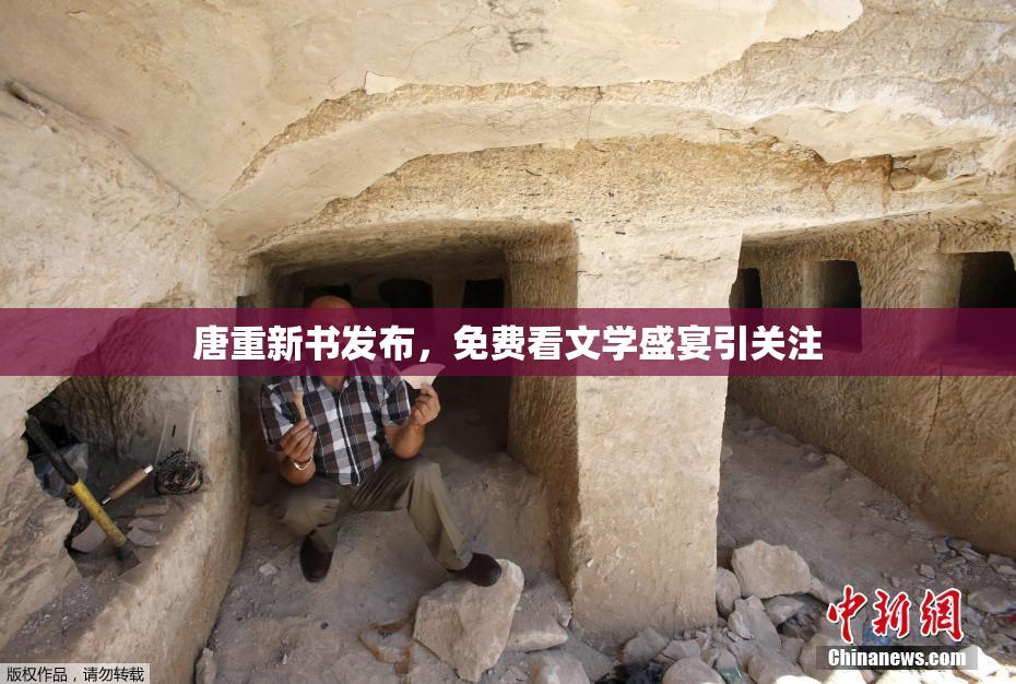 唐重新书发布，免费看文学盛宴引关注