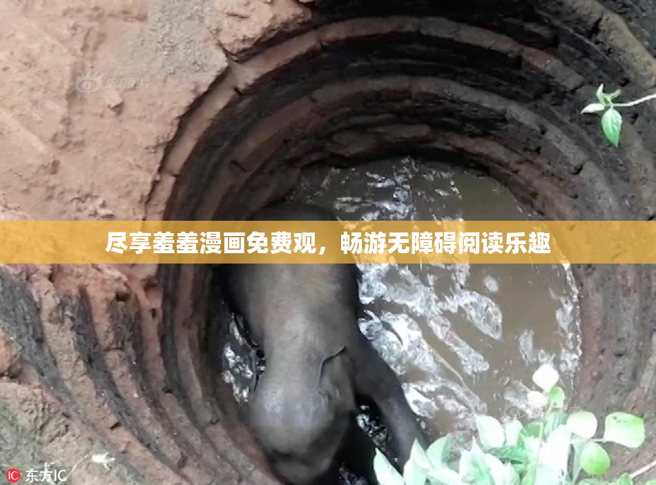尽享羞羞漫画免费观，畅游无障碍阅读乐趣
