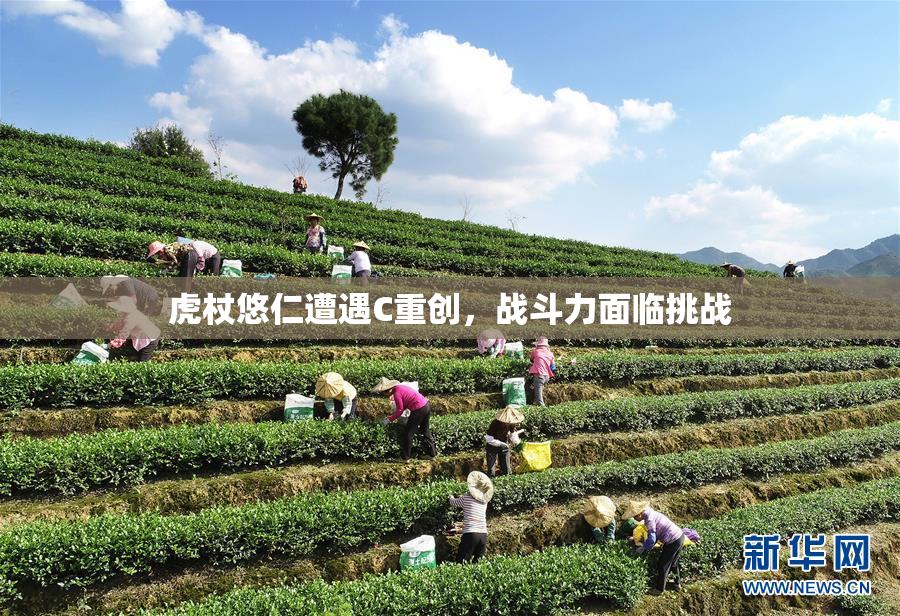 虎杖悠仁遭遇C重创，战斗力面临挑战