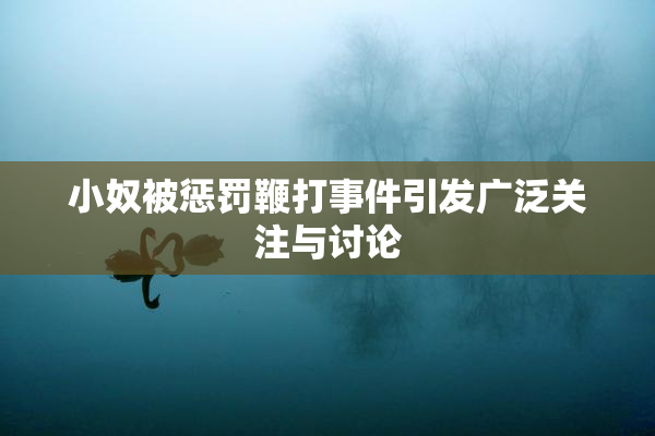 小奴被惩罚鞭打事件引发广泛关注与讨论