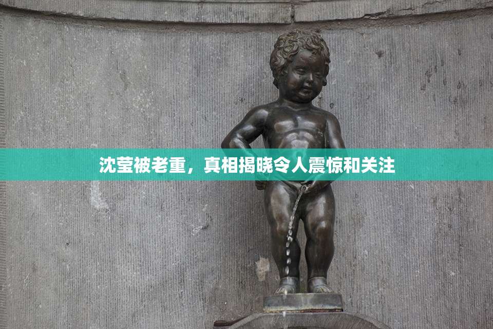 沈莹被老重，真相揭晓令人震惊和关注