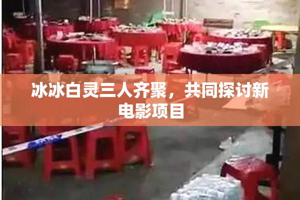 冰冰白灵三人齐聚，共同探讨新电影项目