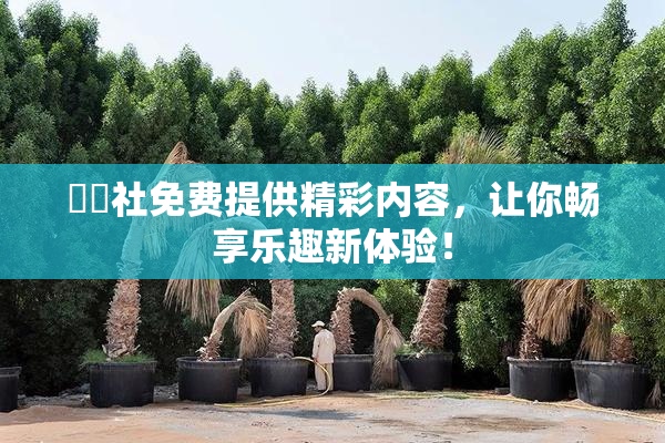 擼擼社免费提供精彩内容，让你畅享乐趣新体验！