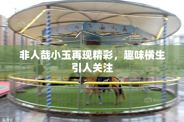 非人哉小玉再现精彩，趣味横生引人关注