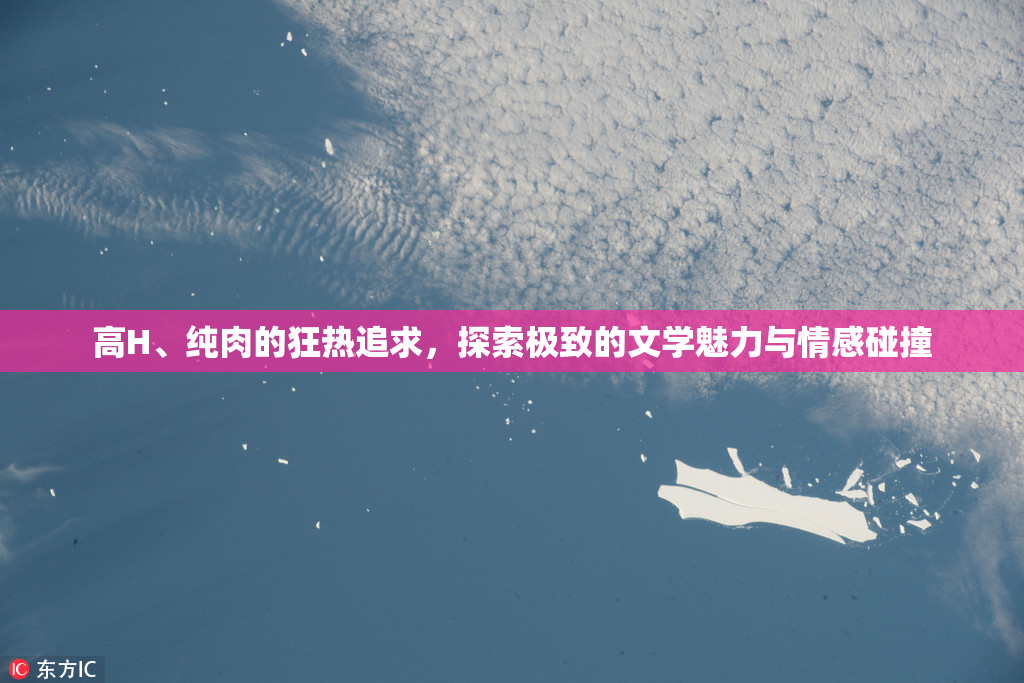 高H、纯肉的狂热追求，探索极致的文学魅力与情感碰撞