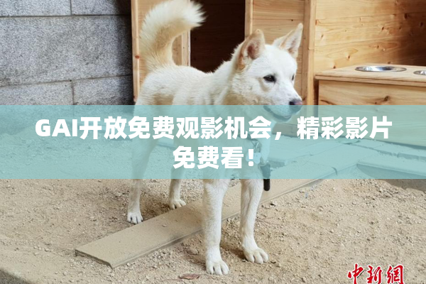 GAI开放免费观影机会，精彩影片免费看！
