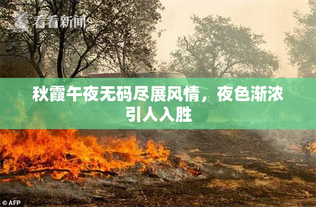 秋霞午夜无码尽展风情，夜色渐浓引人入胜