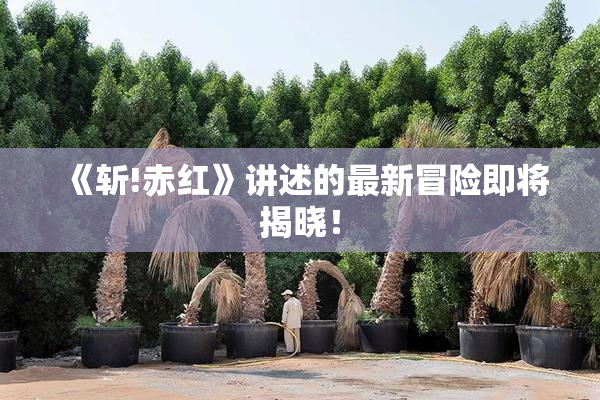 《斩!赤红》讲述的最新冒险即将揭晓！