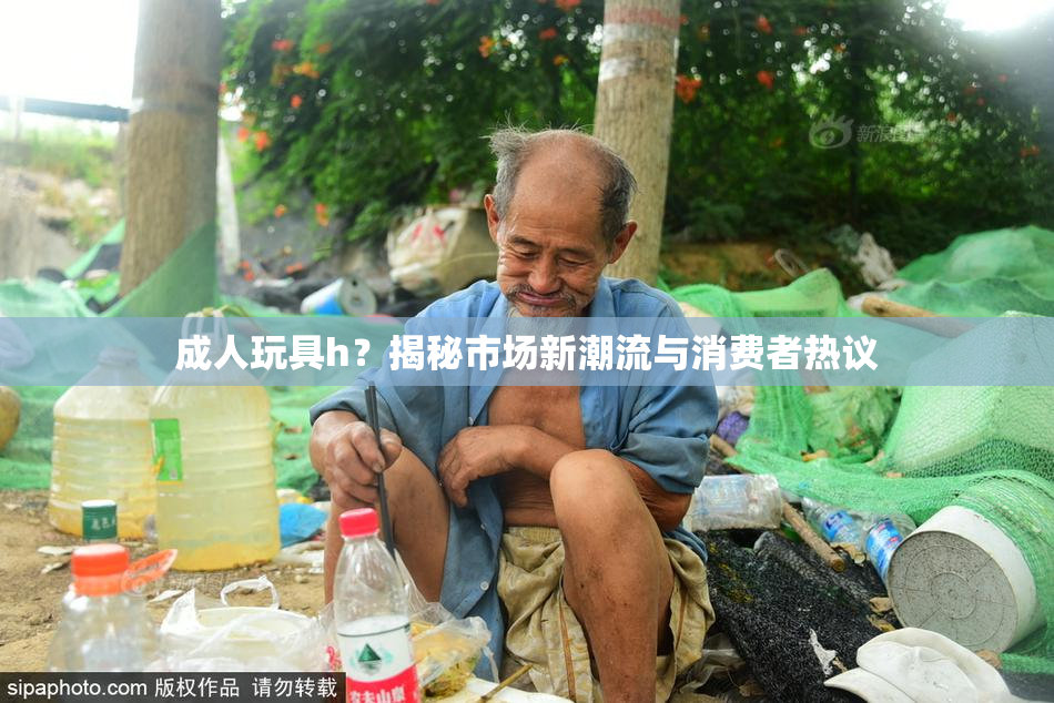 成人玩具h？揭秘市场新潮流与消费者热议